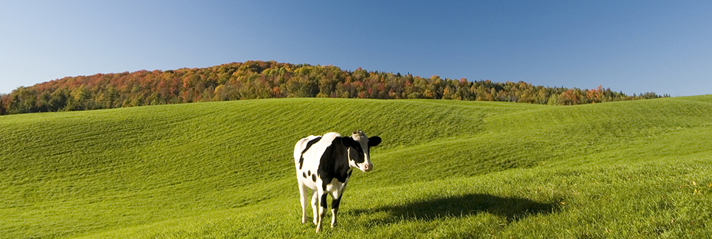 bevictorΰµÂ¹ÙÍø - ΤµÂ¹Ù·½ÍøÕ¾