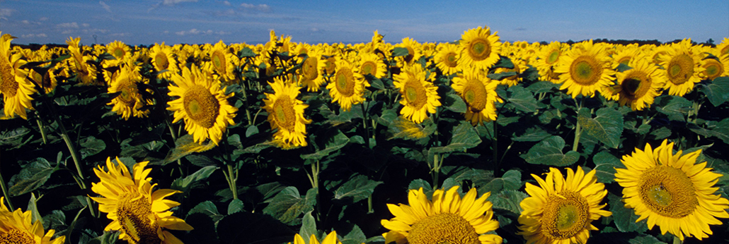 bevictorΰµÂ¹ÙÍø - ΤµÂ¹Ù·½ÍøÕ¾